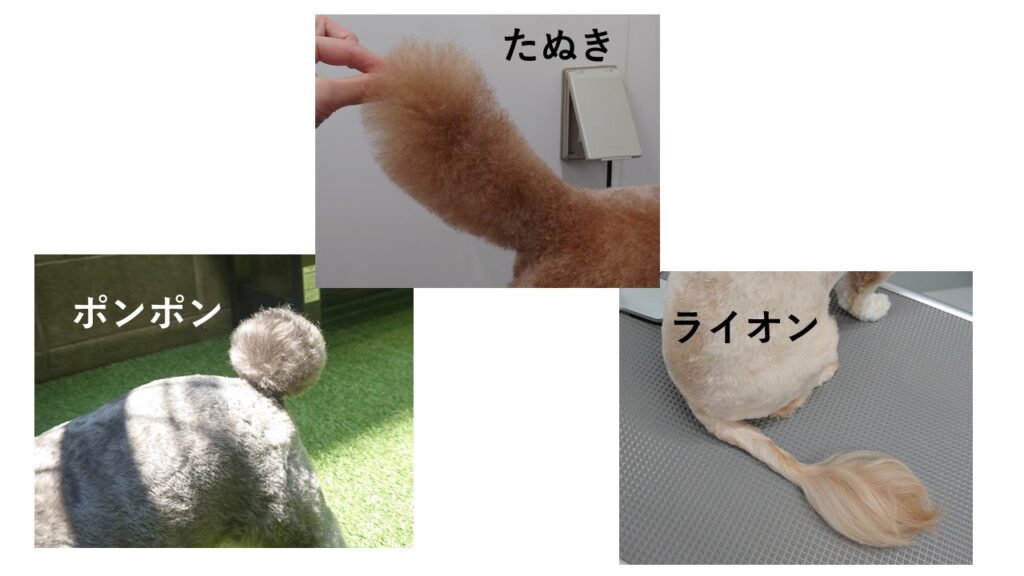 しっぽのカットの違い